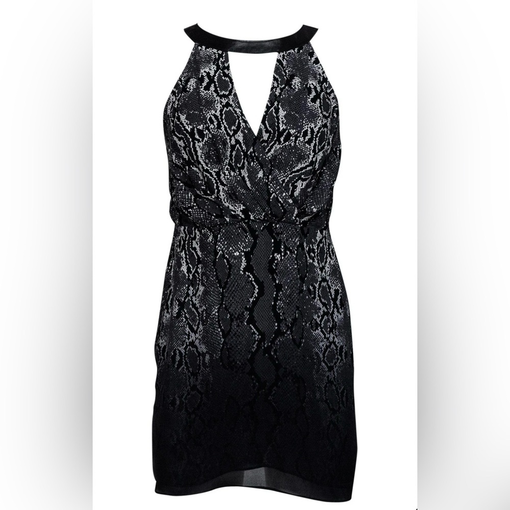 Parker Snakeskin Print Mini Silk/Leather Dress